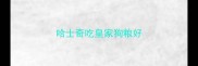 哈士奇吃皇家狗粮好