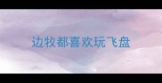 边牧都喜欢玩飞盘