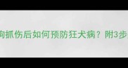 犬类抓伤后必读指南被小狗抓伤后如何预防狂犬病附3步处理流程与疫苗接种时间表