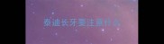 泰迪长牙要注意什么