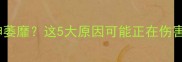 哈士奇突然精神萎靡这5大原因可能正在伤害你家毛孩子