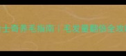 哈士奇养毛指南毛发量翻倍全攻略