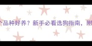拉布拉多哪个品种好养新手必看选狗指南附养护全攻略
