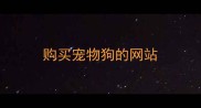 购买宠物狗的网站