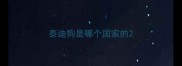 泰迪狗是哪个国家的