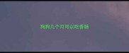 狗狗几个月可以吃香肠