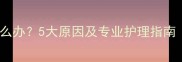 狗狗眼睛流泪怎么办5大原因及专业护理指南附自救方法