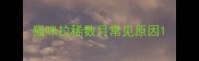 猫咪拉稀数月常见原因