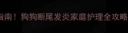 紧急处理指南狗狗断尾发炎家庭护理全攻略附图解