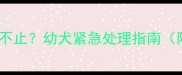 两个月大白熊犬呕吐不止幼犬紧急处理指南附家庭护理全攻略