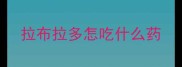 拉布拉多怎吃什么药