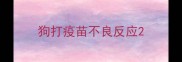 狗打疫苗不良反应