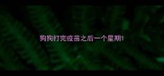 狗狗打完疫苗之后一个星期