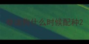 泰迪狗什么时候配种