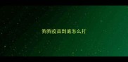 狗狗疫苗到底怎么打