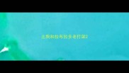 土狗和拉布拉多老打架