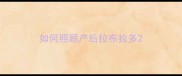 如何照顾产后拉布拉多
