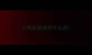 小狗皮肤痒用什么药