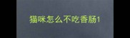 猫咪怎么不吃香肠