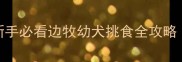 边牧两个月不吃狗粮新手必看边牧幼犬挑食全攻略亲测有效的5个解决方法