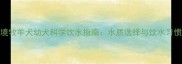 边境牧羊犬幼犬科学饮水指南水质选择与饮水习惯全