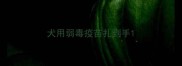 犬用弱毒疫苗扎到手