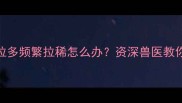 三个月大拉布拉多频繁拉稀怎么办资深兽医教你5步紧急处理法