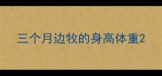 三个月边牧的身高体重