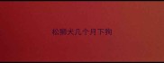 松狮犬几个月下狗