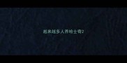 越来越多人养哈士奇