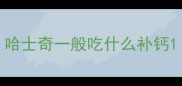 哈士奇一般吃什么补钙