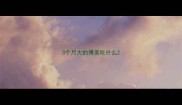 3个月大的博美吃什么