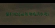 猫打完疫苗能用眼药水吗