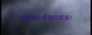 德阳哪里给猫打疫苗