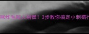 猫咪炸毛咬人别慌3步教你搞定小刺猬行为