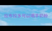 拉布拉多可以喝羊奶粉