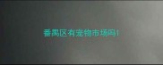 番禺区有宠物市场吗