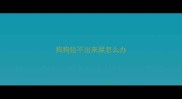 狗狗拉不出来屎怎么办