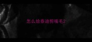怎么给泰迪剪嘴毛