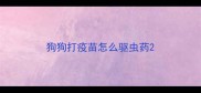 狗狗打疫苗怎么驱虫药