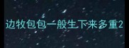 边牧包包一般生下来多重