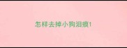怎样去掉小狗泪痕