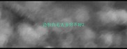 边牧白毛太多好不好