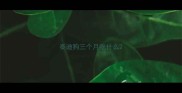 泰迪狗三个月吃什么