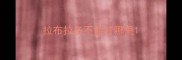 拉布拉多不能打哪里