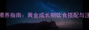 拉布拉多半岁科学喂养指南黄金成长期饮食搭配与注意事项附食谱
