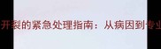 新生儿犬上颚开裂的紧急处理指南从病因到专业救治全流程