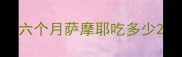 六个月萨摩耶吃多少