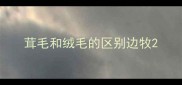 茸毛和绒毛的区别边牧