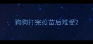 狗狗打完疫苗后难受